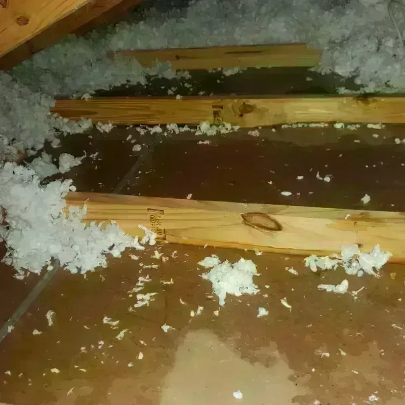 Attic Water Damage in Chattahoochee Hills, GA